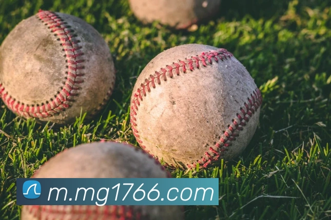 MG娱乐平台官网APP 高清赛事图